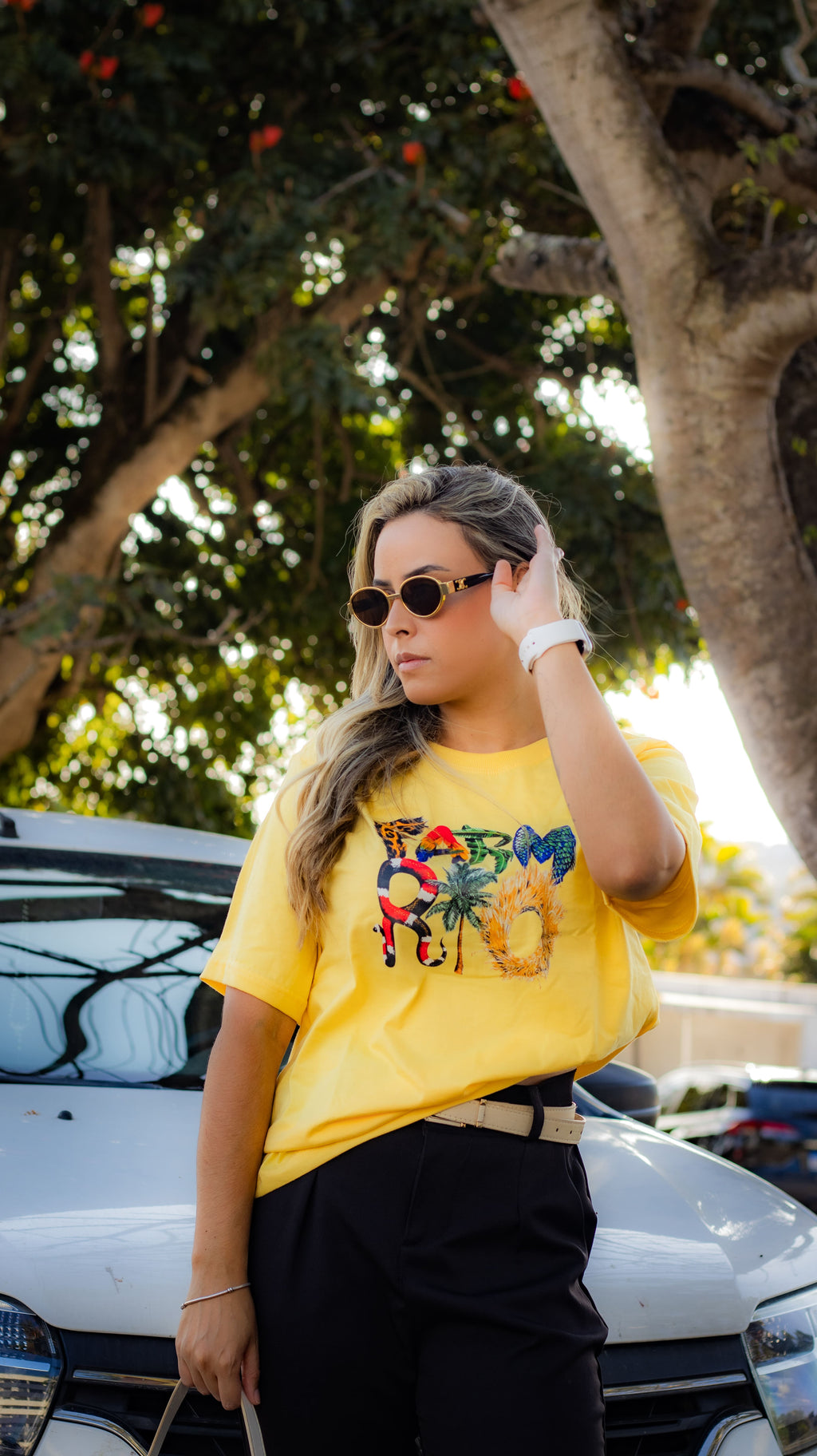 Blusa Algodão “classe A T-Shirt “Farm Rio ‘’